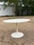 1960s 1960s Burke Tulip Table and 5 Chairs For Sale - Image 5 of 6