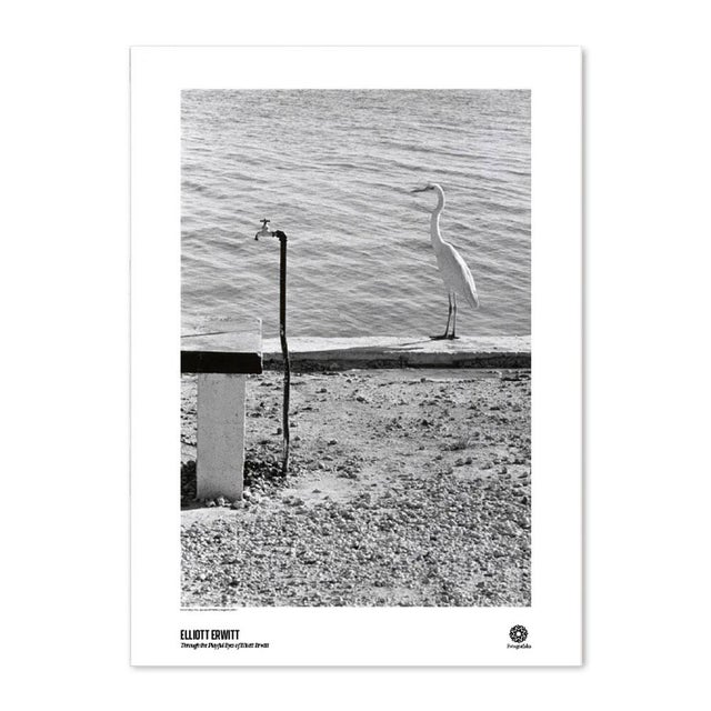Elliott Erwitt Florida Keys Poster Dimensions: 19,6 x 27,5 in / 50 x 70 cm Sold unframed