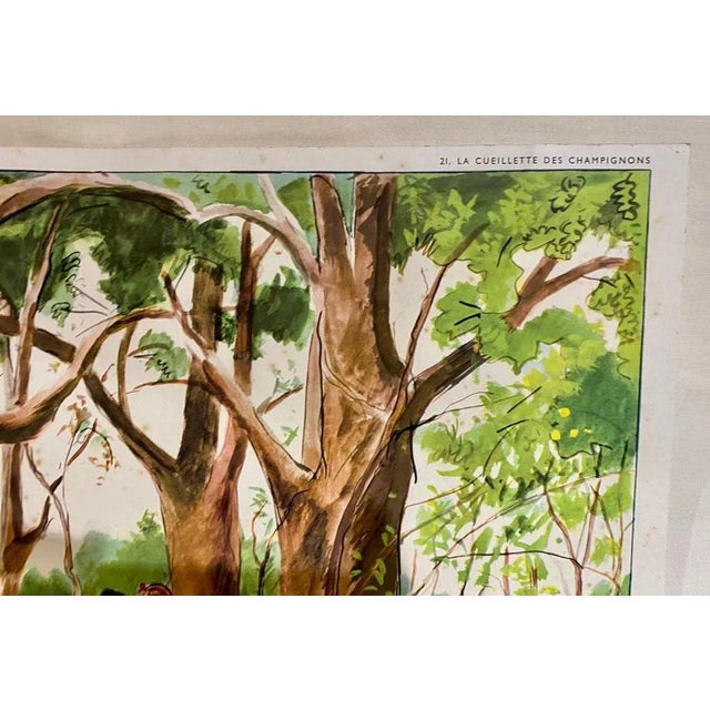 Paper Mushrooms Double Face Hospital Sheet, 1960s For Sale - Image 7 of 10