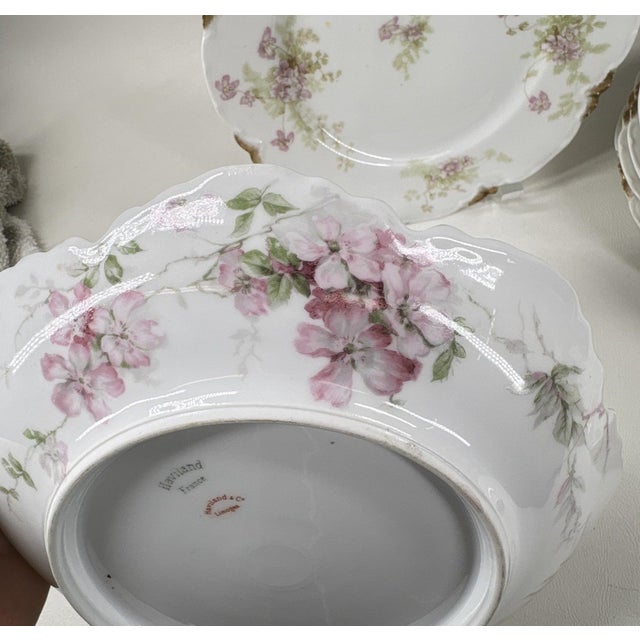 Late 19th Century Antique Haviland & Elite Works Limoges Mixed Floral Collection - 12-Piece For Sale - Image 5 of 14