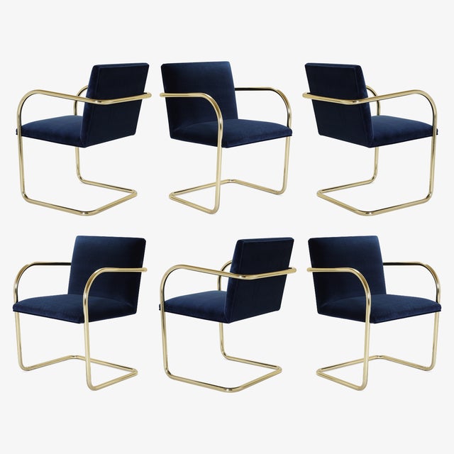 Brno Tubular Chairs in Navy Velvet & Polished Brass - Set of 6 For Sale - Image 11 of 11