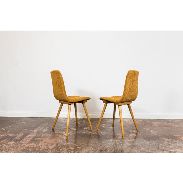 Chairs Model A 6150 from Zakłady Mebli Giętych, 1960s, Set of 6 For Sale - Image 9 of 15