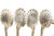 Vintage Sterling Silver Coastal Clam Shell Ice Tea Spoons, Set of 6, 1960's For Sale In Miami - Image 6 of 12