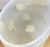 Henry Dean (Belgium) Signed Cased Art Glass Centerpiece Bowl (Translucent White With White Dots) Large, Vintage For Sale - Image 4 of 16