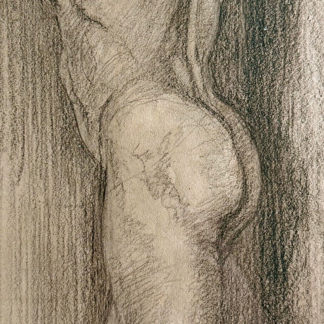 Camel Framed 19th Century Male Figure Drawing After Ferdinand Hodler For Sale - Image 8 of 11