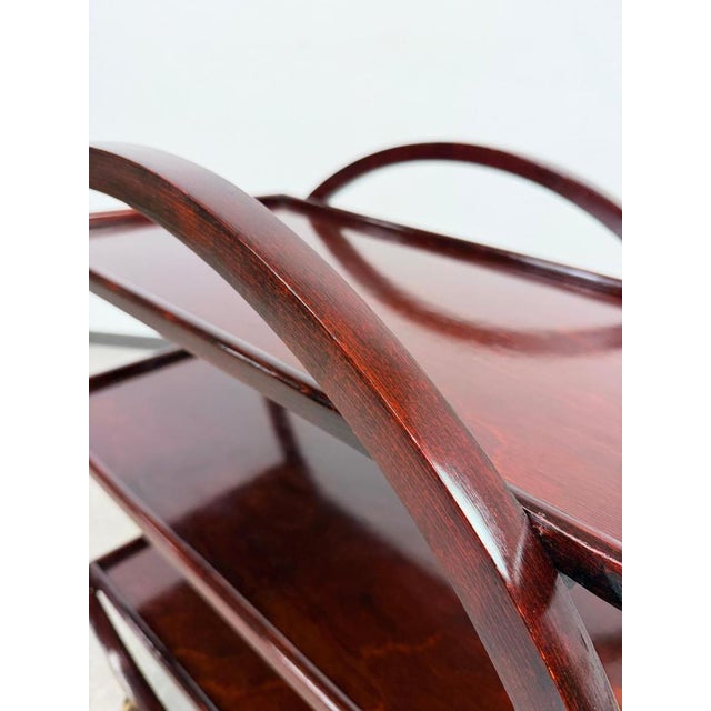 Brown Art Deco No.1157 Serving Trolley attributed to Thonet Debrecen, 1930s For Sale - Image 8 of 10