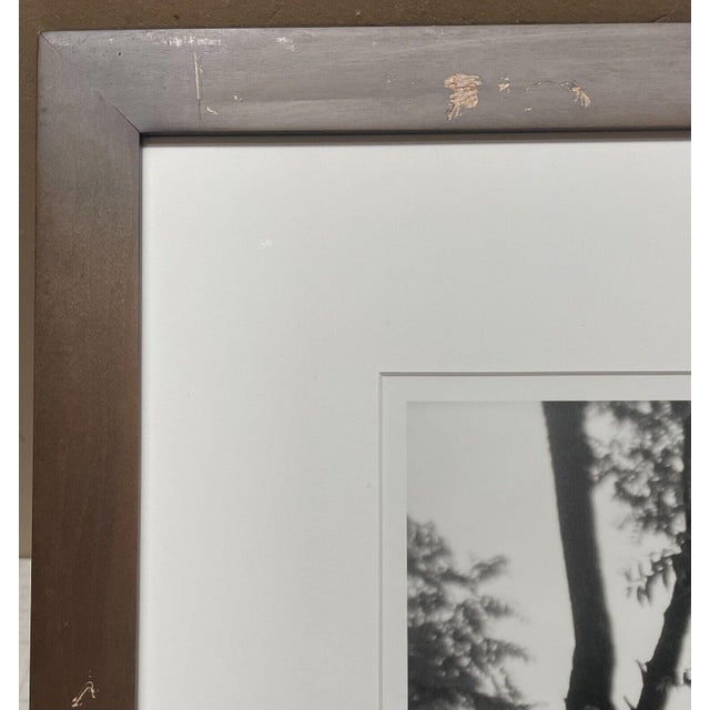 Vintage Donna Ruskin 'coming Around' Convex Mirror Curve in the Road Photograph For Sale - Image 11 of 11