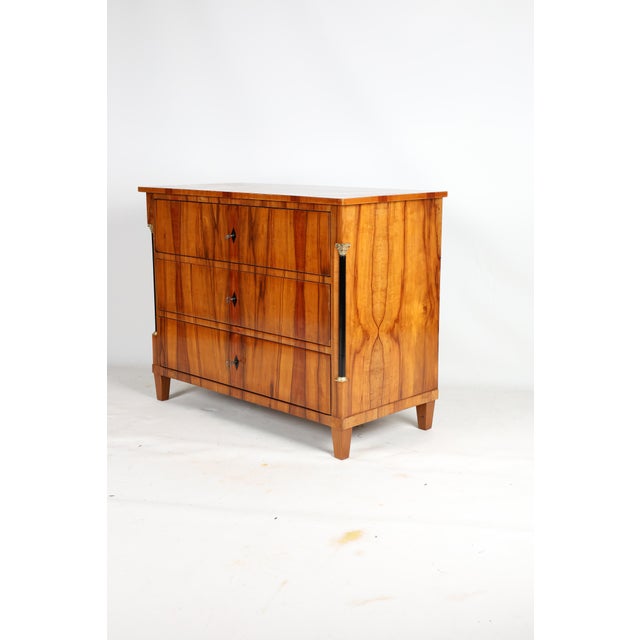 Antique Biedermeier Chest of Drawers in Applewood, 1820 For Sale - Image 11 of 13