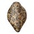 Vintage Italian Scagliola Pigmented Plaster Turtle Shell For Sale