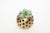 Brass ball candle holder. Brass tea light with perforated holes, makes an elegant effect when lit with a tea light candle....