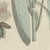 Bertuch, Venus Flytrap Carnivorous Plant, 1805, Print For Sale - Image 9 of 12