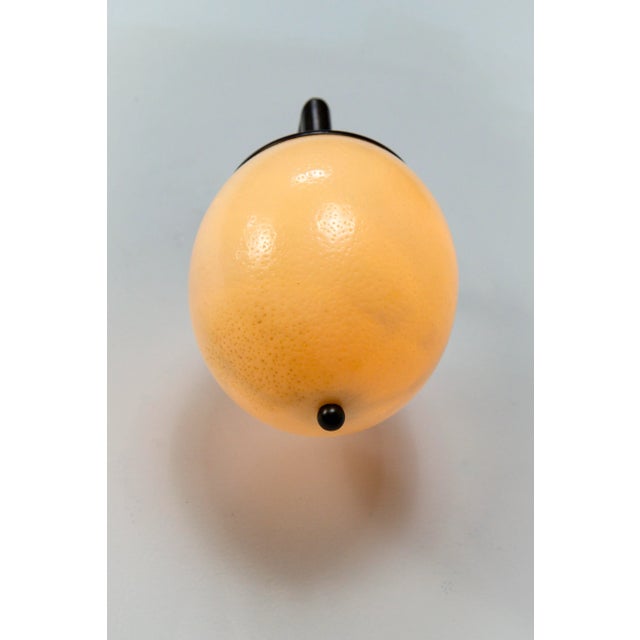 Metal Ostrich Egg Cast Brass Arm Sconce For Sale - Image 7 of 11