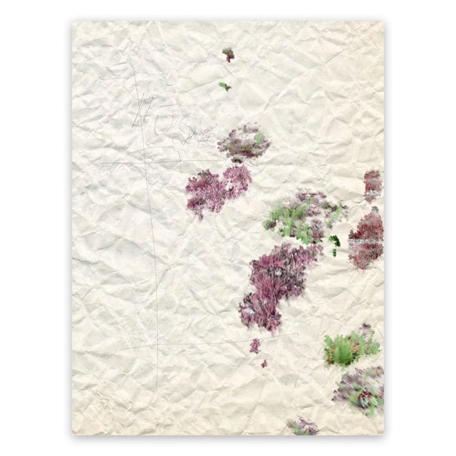 Gianfranco Pezzot Gianfranco Pezzot "Ii. Marvellous Unconsciousness" Photograph For Sale - Image 4 of 4