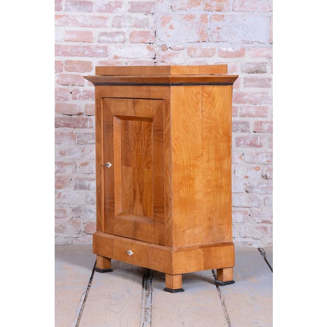 Small Antique Biedermeier Cabinet in Ash and Spruce, 1830s For Sale - Image 16 of 18