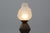 An exceptional early 20th‑century floor lamp from Belgium, crafted around 1910 in the refined spirit of the Art Nouveau...