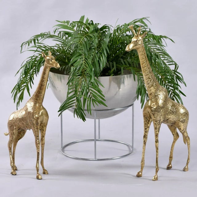 Modern Pair of Tall Vintage Brass Giraffe Figurine Sculptures Overt 2 Feet For Sale - Image 3 of 11