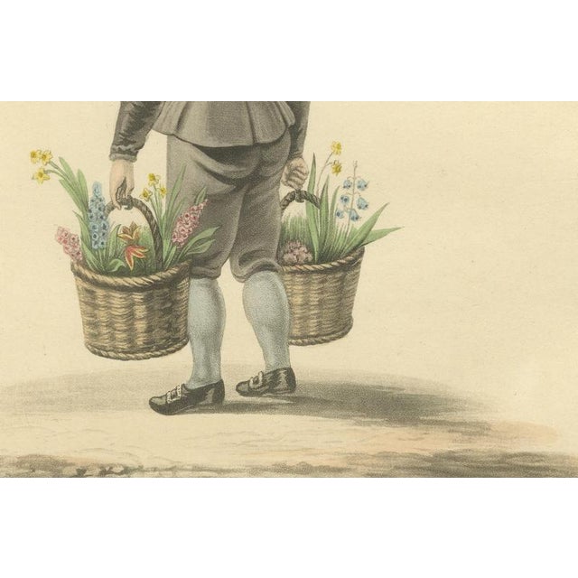 19th Century Miss Semple, Boy Selling Flowers in Rotterdam, Daffodil Baskets, 1817, Engraving For Sale - Image 5 of 8