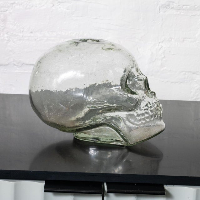 Clear Glass Sculptural Skull Vase For Sale - Image 4 of 6