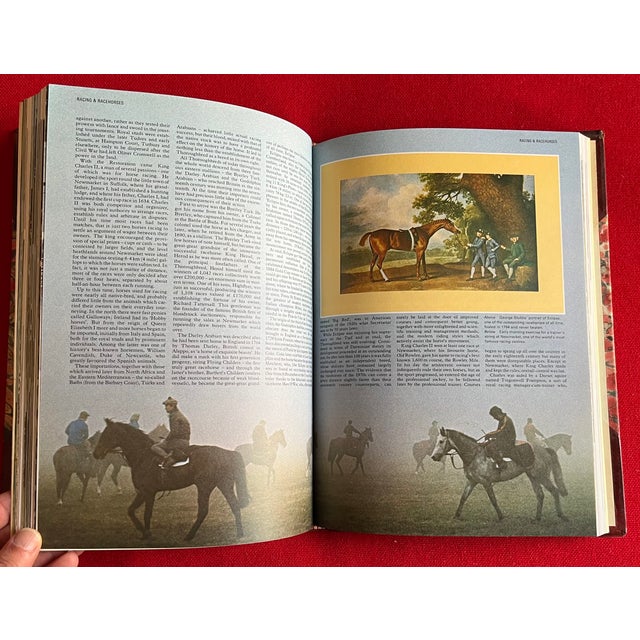 Fine Red Leather Binding - Encyclopedia of the Horse - Book by Elwyn Hartley Edwards - Single Volume For Sale - Image 11 of 13
