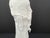 Early 20th C. Blanc DeChine Chinese Figurine-Immortal Taoist Male Statue Dehua Kilns in Fjjian China For Sale - Image 4 of 18