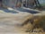 Industrial Scene Painting by Carl Schmidt For Sale - Image 4 of 6