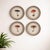 Contemporary Framed Mushroom Print (Set of 4) For Sale - Image 3 of 7