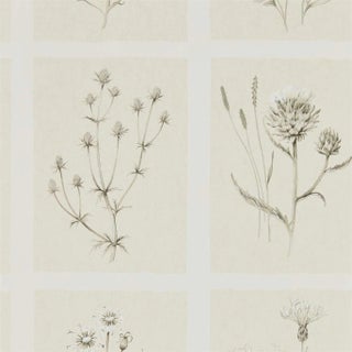 Sanderson Little Thistles Wallpaper in Ecru For Sale