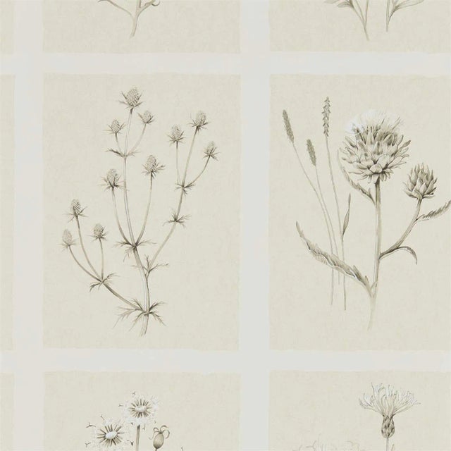 Sanderson Little Thistles Wallpaper in Ecru For Sale