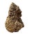 An exceptional large-scale petrified coral sculpture, measuring 120 cm in height and 75 cm in width. This remarkable...