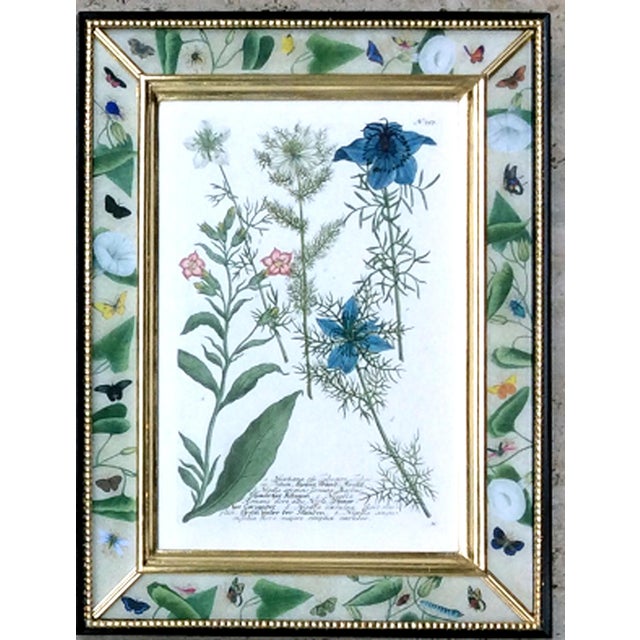 Botanical Splendor- Johann Weinmann Botanical Framed Engravings- A Set of Twelve (12) For Sale - Image 12 of 13