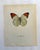 Up for sale is this gorgeous lithograph by F. Prochazka, published in Great Britain in 1965. It is in excellent, gently-...