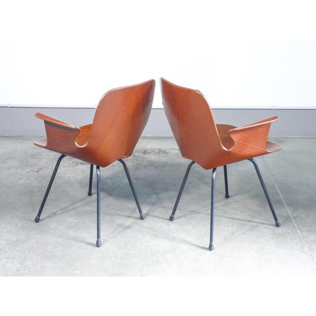 Medea Chairs by V. Nobili for Tagliabue, Set of 2 For Sale - Image 9 of 18