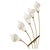 Arredoluce Monza Brass Floor Lamp with Murano Glass Shades by Angelo Lelli attributed Arredoluce, Italy, 1950s For Sale - Image 4 of 9