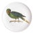 Parrot Large Paper Plates Melamine, Set of 4 For Sale