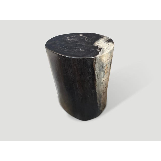 Andrianna Shamaris Impressive Ancient Petrified Wood Side Table For Sale In New York - Image 6 of 6