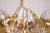 Golden Brass and Crystal Corina Chandelier from Kalmar, 1970s For Sale - Image 10 of 14