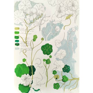 "Trapalaeolum Majus (Nasturtium)" Contemporary Botanical Drawing For Sale