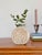 A classic vintage travertine bud vase by Fratelli Mannelli. Made in Italy circa 1970s and featuring the original makers...