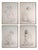 Lluis Gallart y Garcia, Nude The Four Seasons, Graphite, Framed For Sale