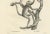 C. Last, Forest Devil, Miriki & Long-Bearded Howler Monkeys, 1836, Lithographs, Print For Sale - Image 4 of 8