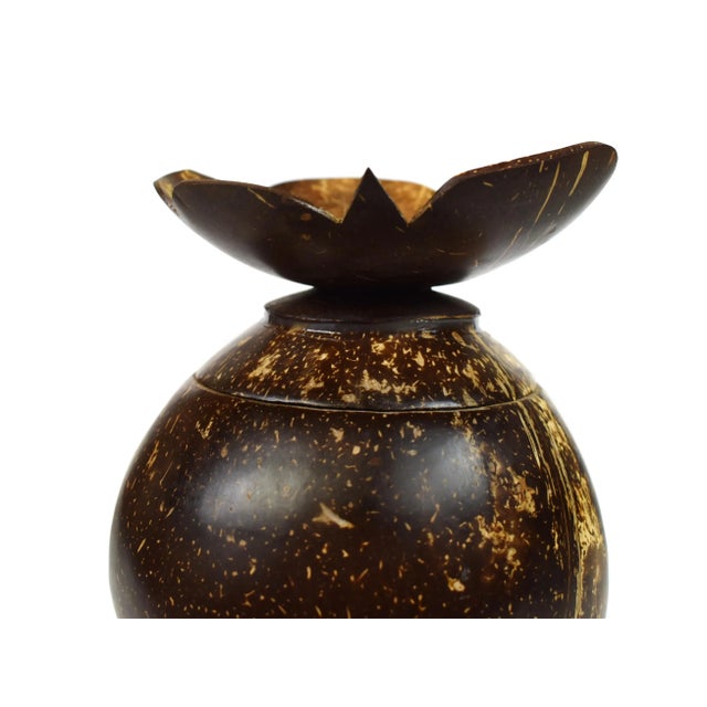 Brown Vintage Handmade Natural Coconut Shell Lidded Box Display on Wooden Base For Sale - Image 8 of 13