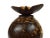 Brown Vintage Handmade Natural Coconut Shell Lidded Box Display on Wooden Base For Sale - Image 8 of 13