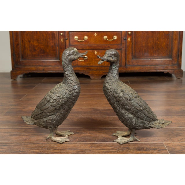 A pair of vintage bronze ducks from the mid-20th century, standing on their feet. Created during the second quarter of the...