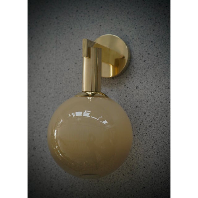 Murano Art Glass and Brass Wall Light, 2000 For Sale - Image 10 of 12