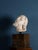 Girolamo Ticciati, Italian School Head of a Bearded Man with Long Hair, 1700s, Marble For Sale - Image 3 of 7