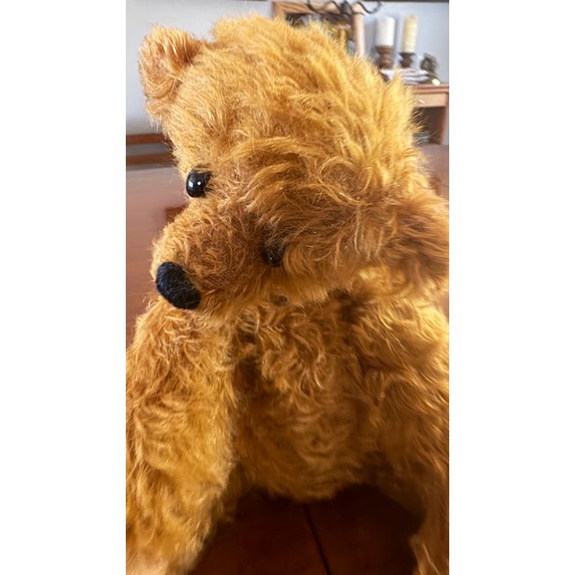 Teddy Bear Vintage Mohair Handmade Pristine C1980 For Sale - Image 13 of 18