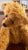 Teddy Bear Vintage Mohair Handmade Pristine C1980 For Sale - Image 13 of 18