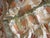 Pair of Vintage Curtains Art Nouveau Style For Sale - Image 13 of 15