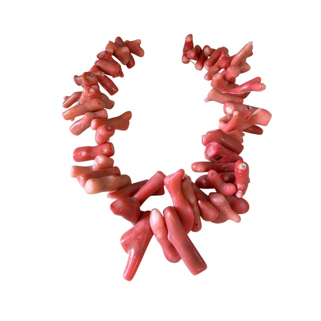 Shell Vintage Natural African Angel Skin Coral Branch Trade Beads Strand /Currency /Necklace 52 Pieces For Sale - Image 7 of 7