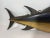 Carved and Painted Tuna Fish Trade Sign For Sale In Boston - Image 6 of 10